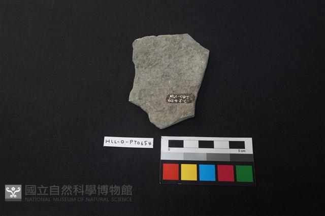 陶片藏品圖，第2張