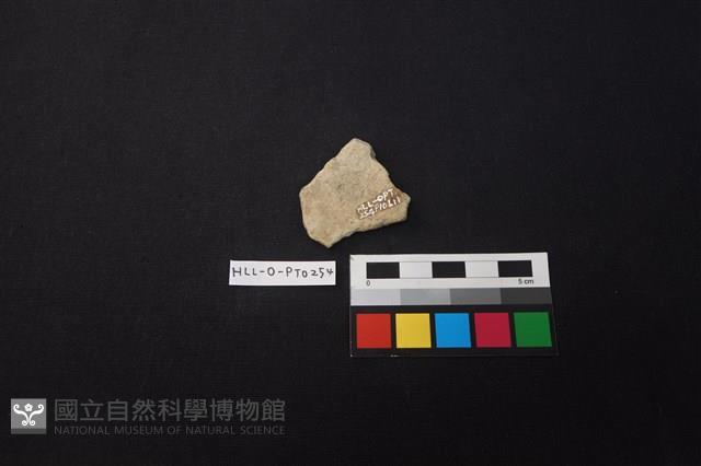 陶片藏品圖，第2張