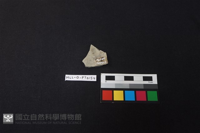 陶片藏品圖，第2張