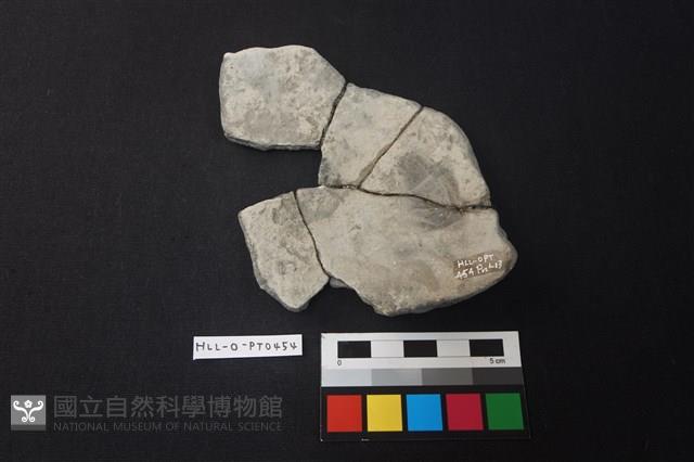 陶片藏品圖，第2張