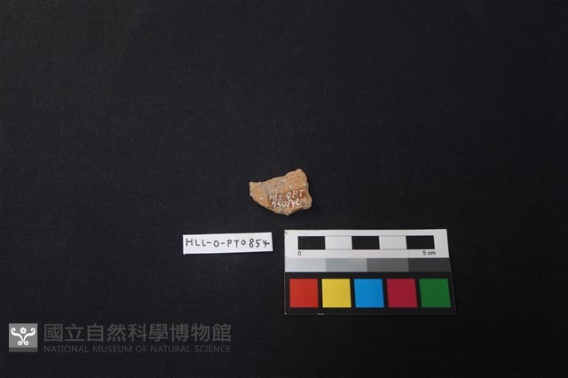 陶片藏品圖，第2張