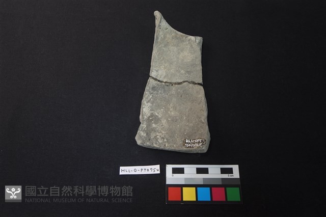 陶片藏品圖，第2張