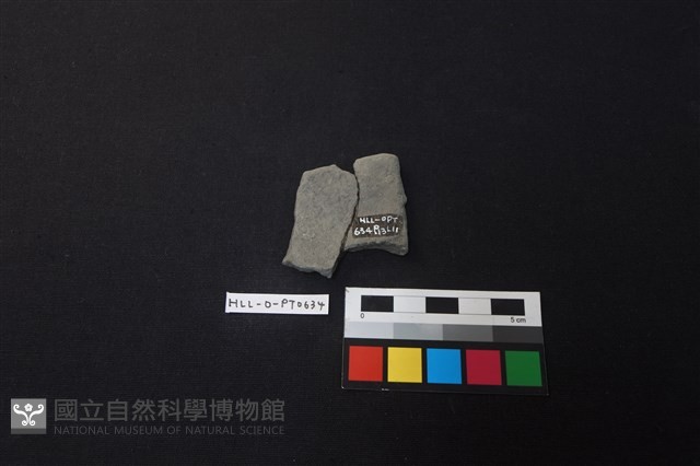 陶片藏品圖，第2張