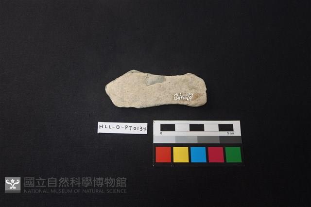 陶片藏品圖，第2張