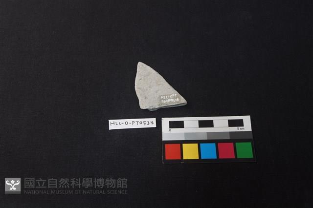 陶片藏品圖，第2張