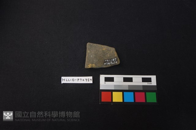 陶片藏品圖，第2張