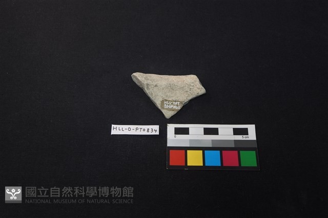 陶片藏品圖，第2張
