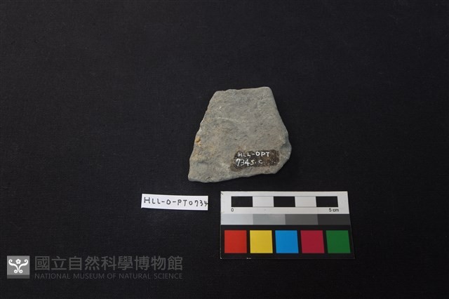 陶片藏品圖，第2張