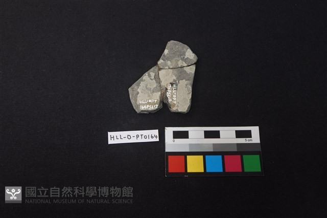 陶片藏品圖，第2張