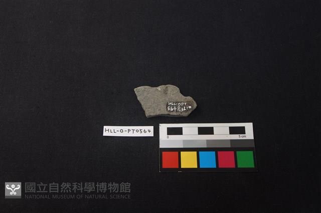 陶片藏品圖，第2張