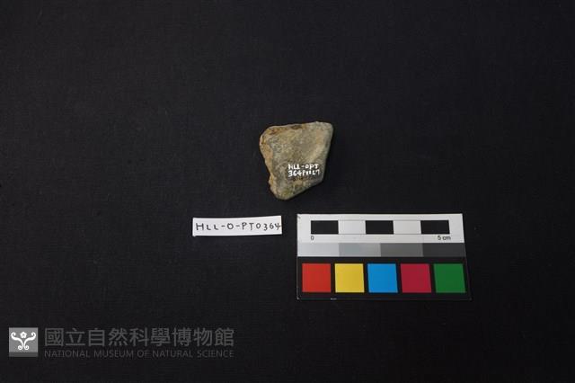 陶片藏品圖，第2張