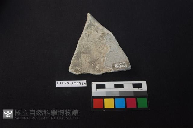 陶片藏品圖，第2張