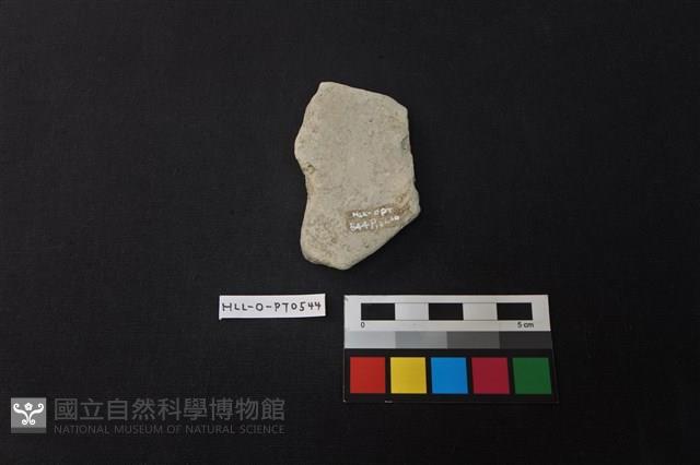 陶片藏品圖，第2張