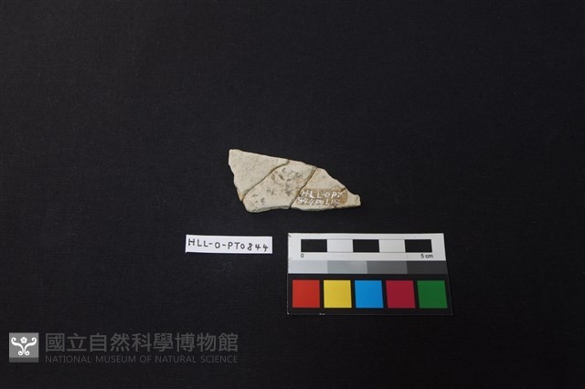 陶片藏品圖，第2張