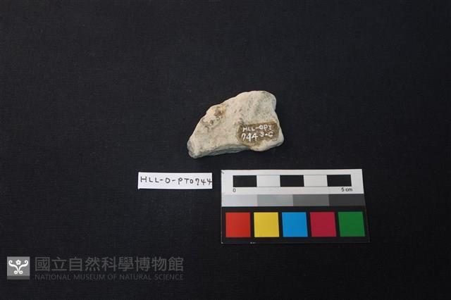 陶片藏品圖，第2張