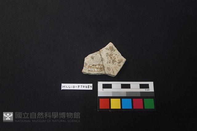 陶片藏品圖，第2張