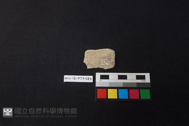 陶片藏品圖，第2張