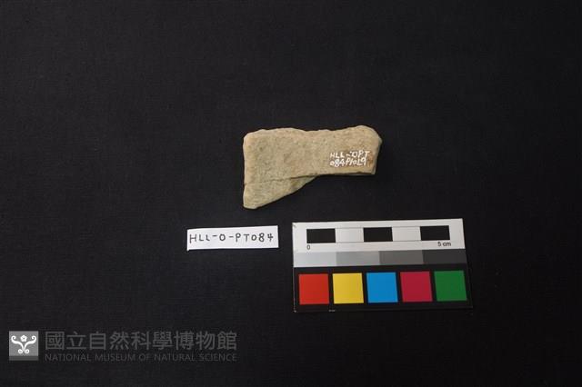 陶片藏品圖，第2張