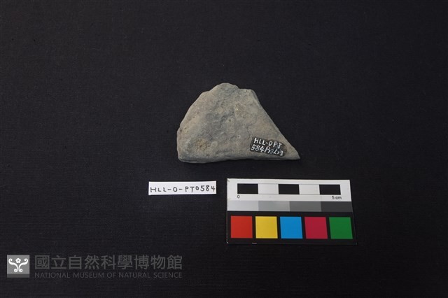陶片藏品圖，第2張