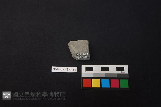 陶片藏品圖，第2張