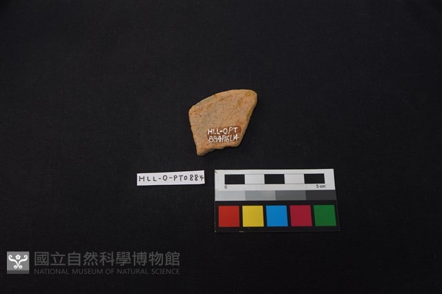 陶片藏品圖，第2張