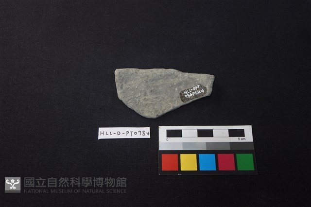 陶片藏品圖，第2張