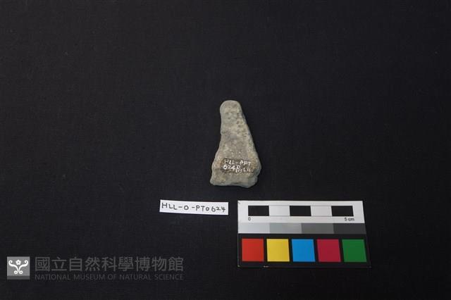 陶片藏品圖，第2張