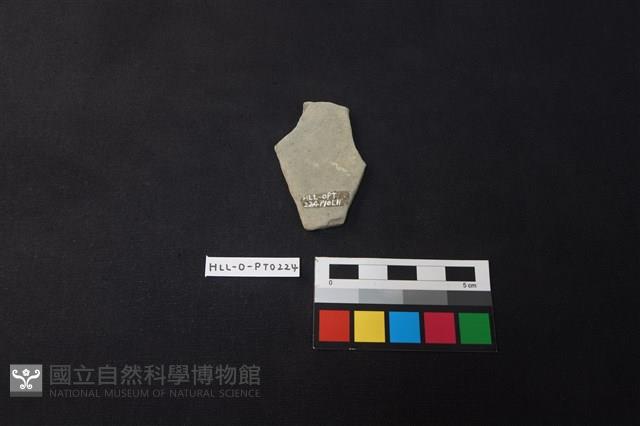 陶片藏品圖，第2張