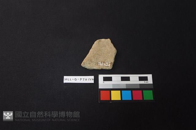 陶片藏品圖，第2張