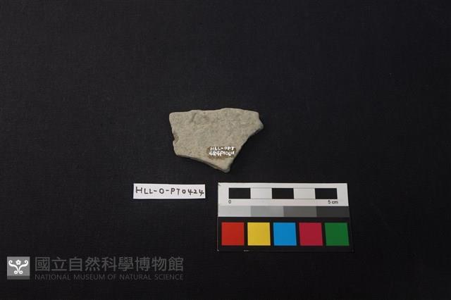 陶片藏品圖，第2張