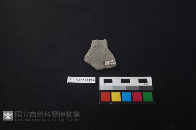 陶片藏品圖，第2張