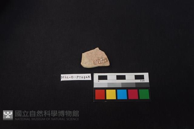 陶片藏品圖，第2張