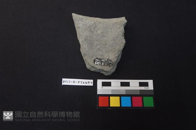 陶片藏品圖，第2張