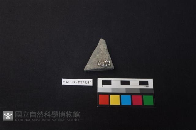 陶片藏品圖，第2張