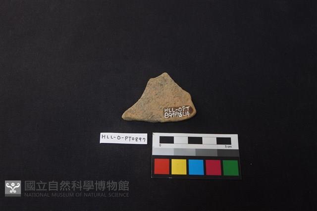 陶片藏品圖，第2張