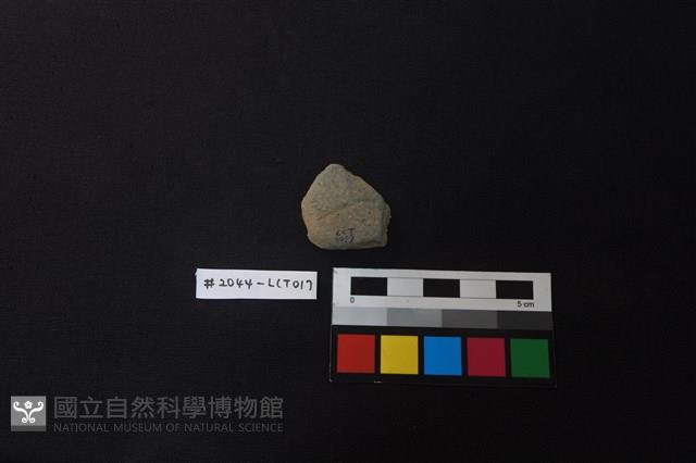 陶片藏品圖，第2張