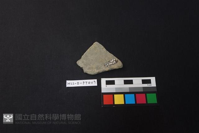 陶片藏品圖，第2張