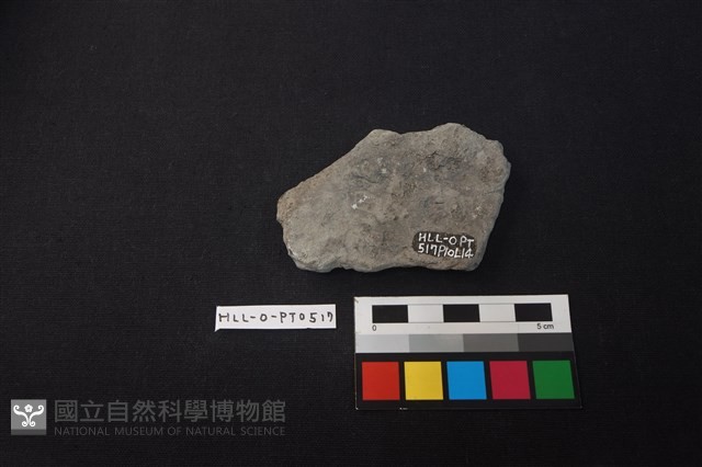 陶片藏品圖，第2張