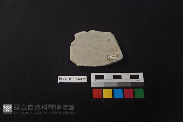 陶片藏品圖，第2張