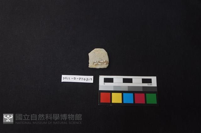 陶片藏品圖，第2張