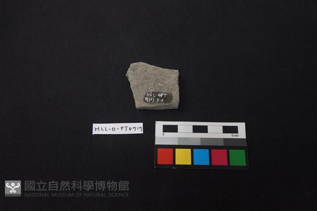 陶片藏品圖，第2張