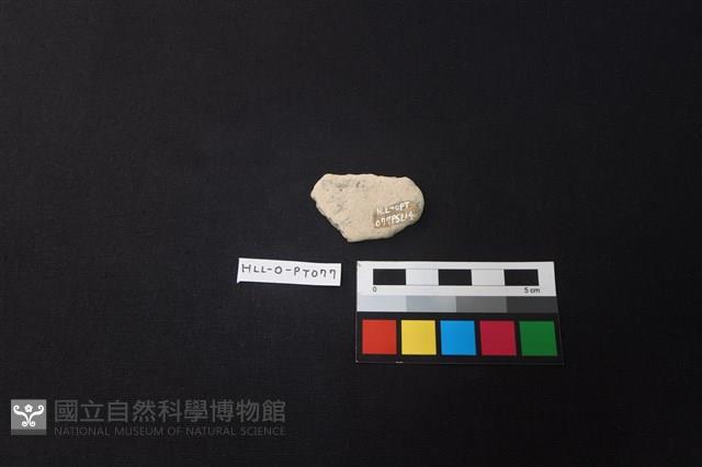 陶片藏品圖，第2張