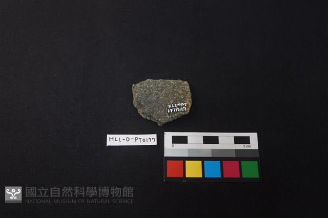 陶片藏品圖，第2張