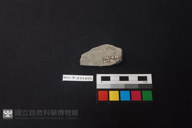 陶片藏品圖，第2張