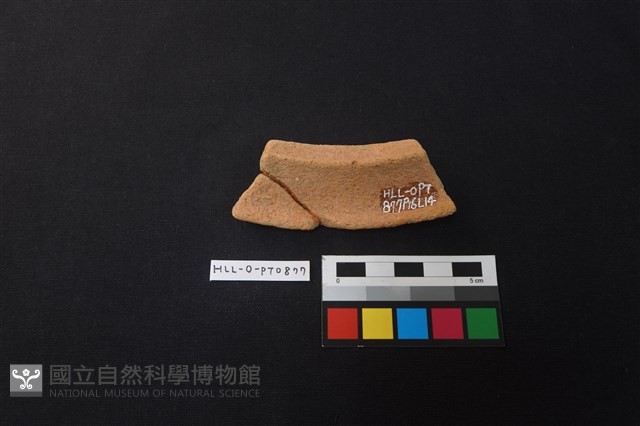 陶片藏品圖，第2張