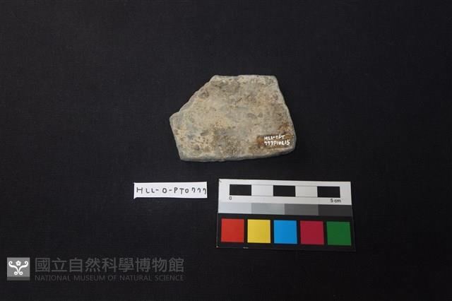 陶片藏品圖，第2張