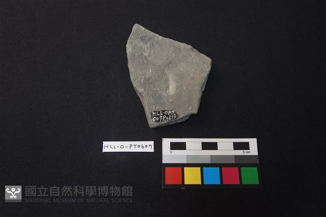 陶片藏品圖，第2張