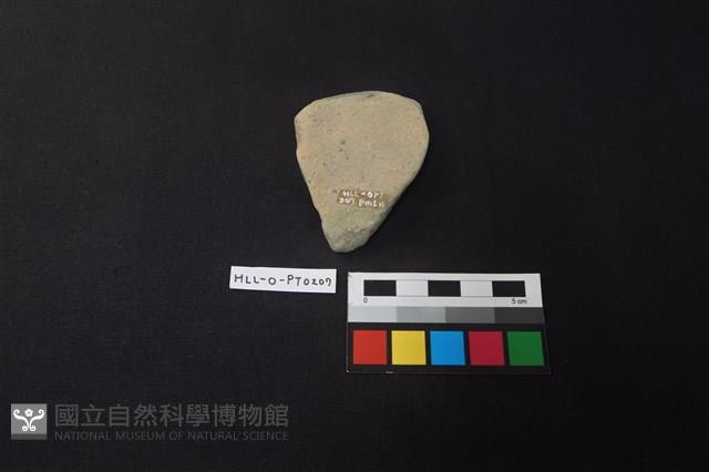 陶片藏品圖，第2張