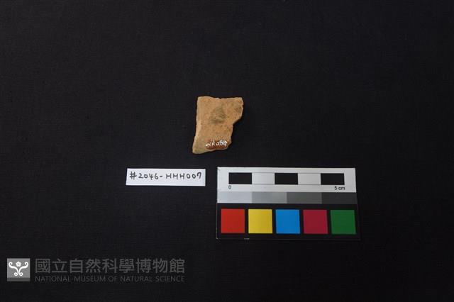 陶片藏品圖，第2張