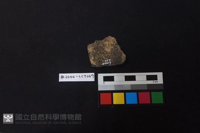 陶片藏品圖，第2張